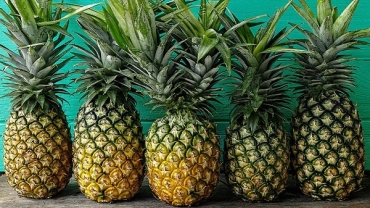 Sustainable innovations are coming to textiles