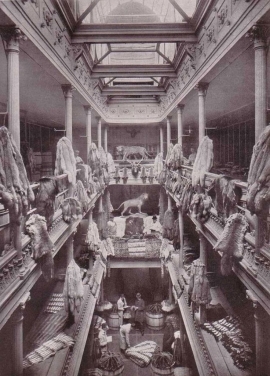 لباس خز یا پوستین Fur clothing