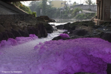 Fashion's Environmental Impact