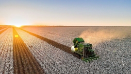 World Cotton Demand Plummets Due to COVID-19 Pandemic