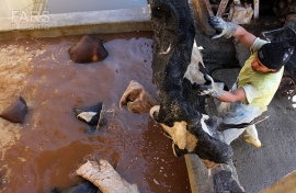 آشنایی با مراحل تولید چرم و کاربرد فناوری نانو در صنعت تولید چرم