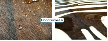 چرم آب‌گریز: فناوری جدید برای تولید کالاهای چرمی با خصوصیات ویژه