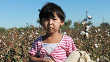 تولید پنبه ازبکستان بدون استفاده از نیروی کار اجباری و کودکان Uzbek cotton said to be "free" of child and forced labour