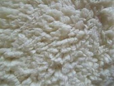 اثر سن گوسفند؛ عامل مؤثر بر نوع کاربرد پشم